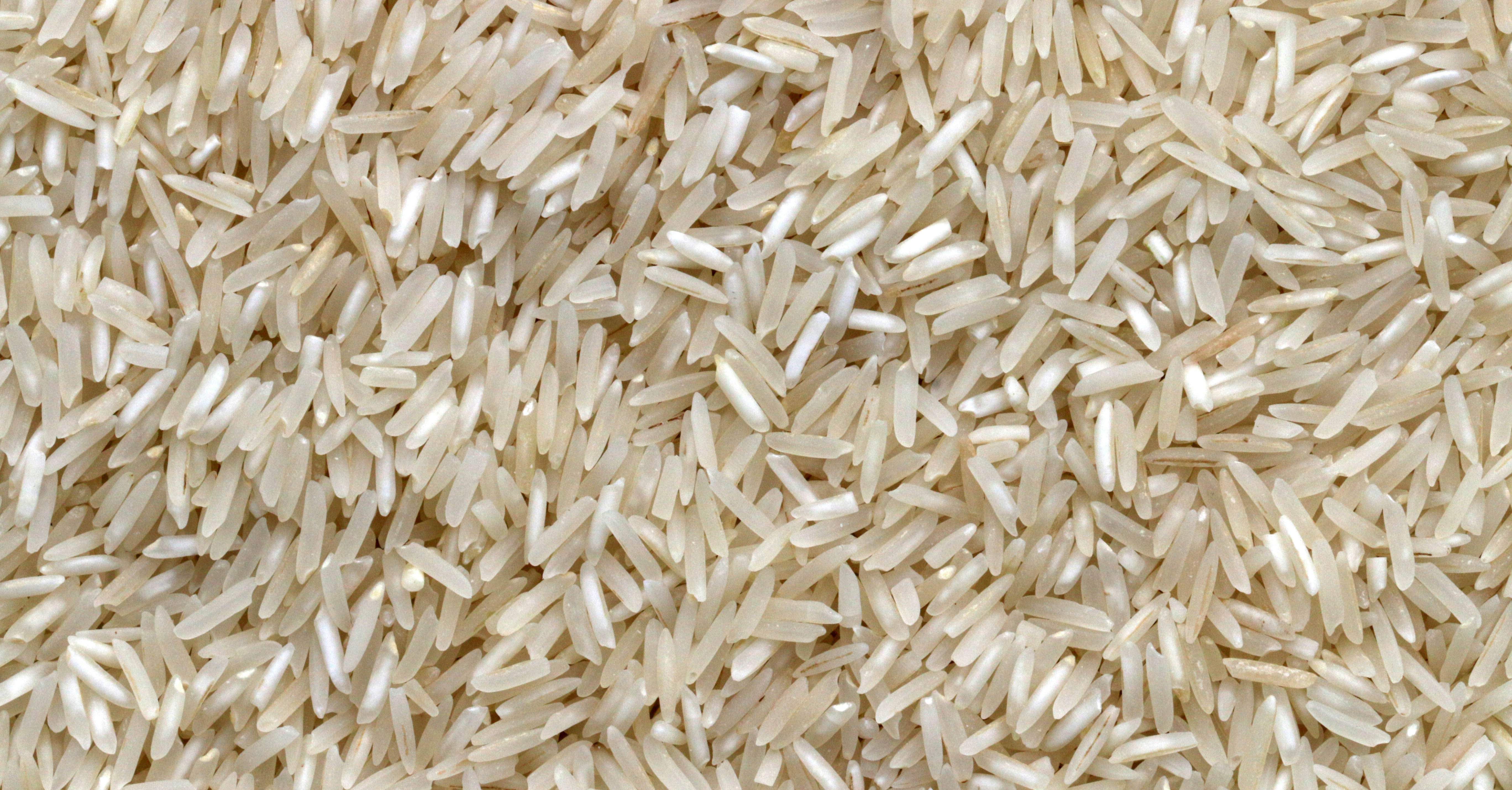 Closeup image of rice